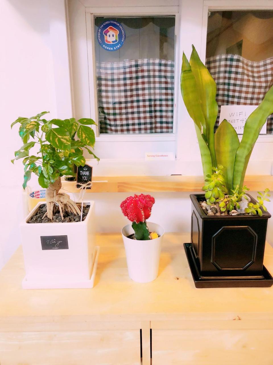 Sarang Guesthouse Dongdaemun Seoul Exteriör bild